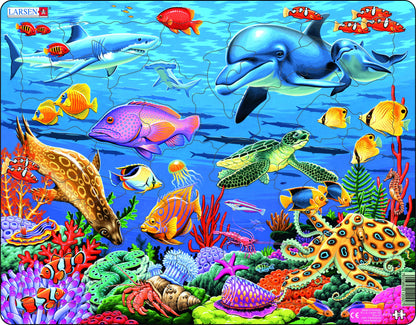 Coral Reef