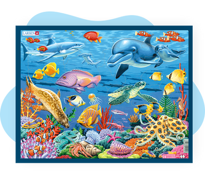 Coral Reef