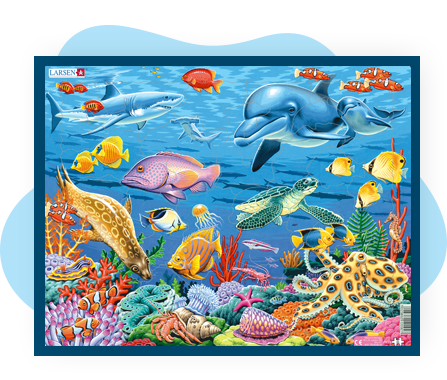 Coral Reef