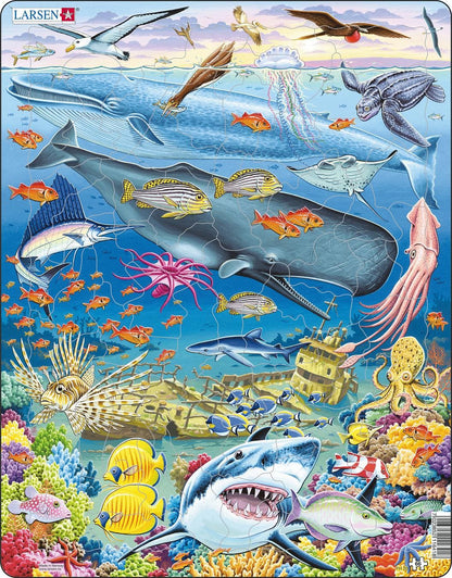 Whale Reef